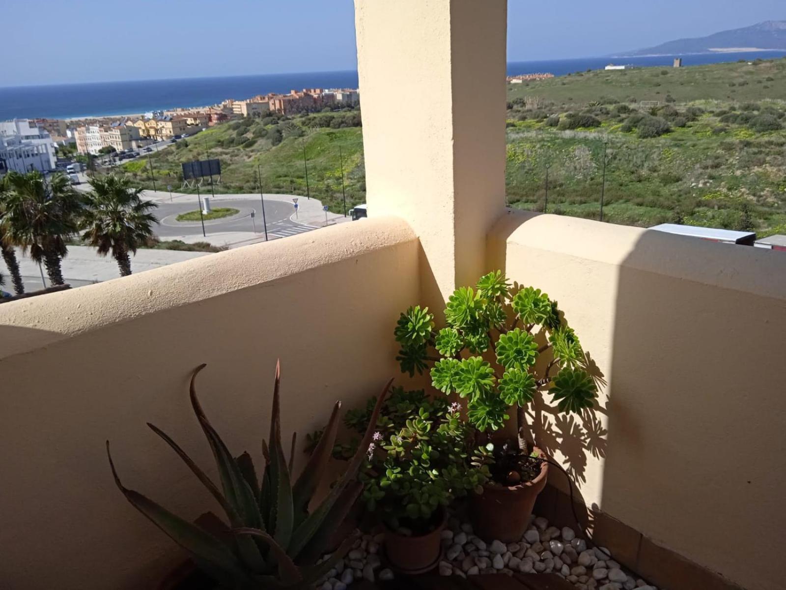 Livingtarifa Apartamento Nano Екстериор снимка